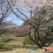 サイクリングコースもあって自転車借りれます。