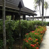 ウォーターパークからビーチへ続く小道