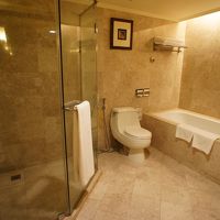 リビングにもトイレがあったので、こちらのトイレは一度も使わず