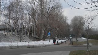 並木の間を散歩できる