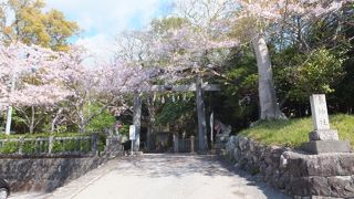 長宗我部家とかかわりの深い神社