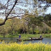 公園みたいなとこ