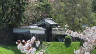 遠目で見るしかないけれど