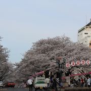 幻の環状３号線は桜並木に