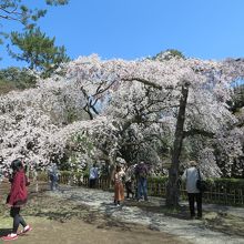 どこを見ても美しい。
