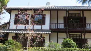 可愛らしいピンク色の桜が咲いていました。