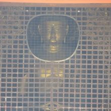 池を挟んで阿弥陀如来坐像が透けて見えます。