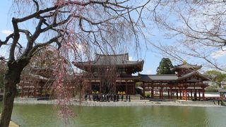 初めての平等院。さすが世界遺産。