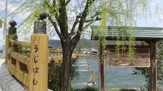 宇治川にかかる大橋。