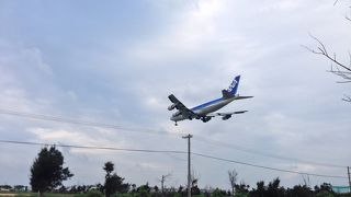 飛行機