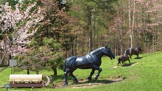 岩見沢と言えばやっぱり「馬」です！！