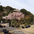 関西花の寺２５ヶ所の１つ
