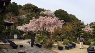 関西花の寺２５ヶ所の１つ