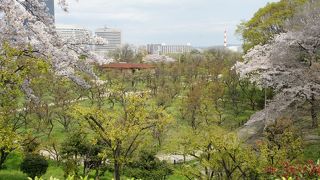 もう花はありませんでしたが、新緑がとってもきれいでした