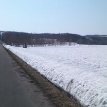 最大８００ヤードの距離からの砲台が設置されていたそうです