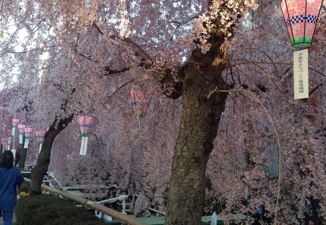 宇都宮の中心部に期間限定の川床が登場！