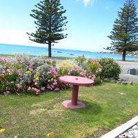 目の前で採った貝でデコレーションしてありました。