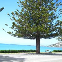 部屋まで海のにおいがしてきますよ♪