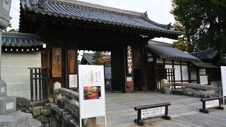 日本最大の禅寺