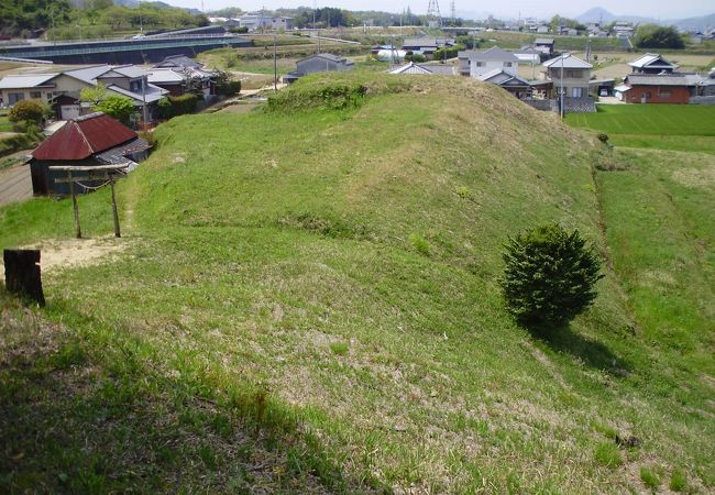 富田茶臼山古墳