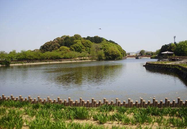 東讃随一の桜の名所