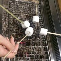 最後にマシュマロ？