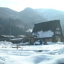 写真映えするがやっぱり寒い