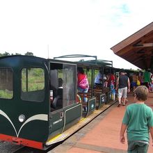 滝に行くまではトロッコ列車です。