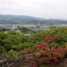 添田町の眺望