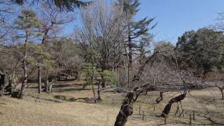 上田城址を中心とした公園