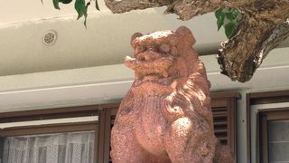 日焼けに要注意