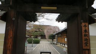 「おかめ」で有名なお寺。本堂は国宝。枝垂れ桜も国宝と言って良いほど。