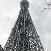 スカイツリー撮影は階段を利用して By 312knk 東京スカイツリーのクチコミ フォートラベル