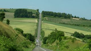 迫力満点！！バスでゆくジェットコースターの路・・・♪