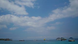 水が綺麗です。