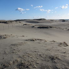広大な砂丘