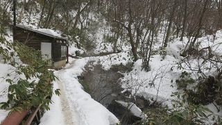 大湯沼までの道