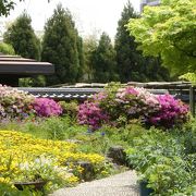 季節の花が美しい庭園