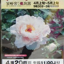 4月〜5月のイベント