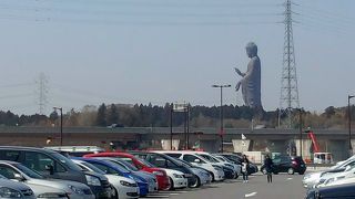 茨城の日本一の高さを誇る大仏