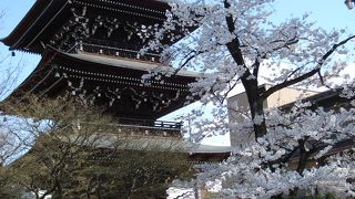 立ち寄って良かった国分寺。