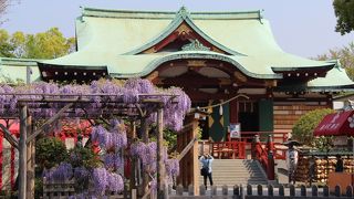 都内随一の藤の名所