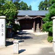 下品中生仏（九品仏）　一心山無量院　専念寺