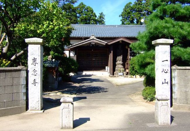 下品中生仏（九品仏）　一心山無量院　専念寺