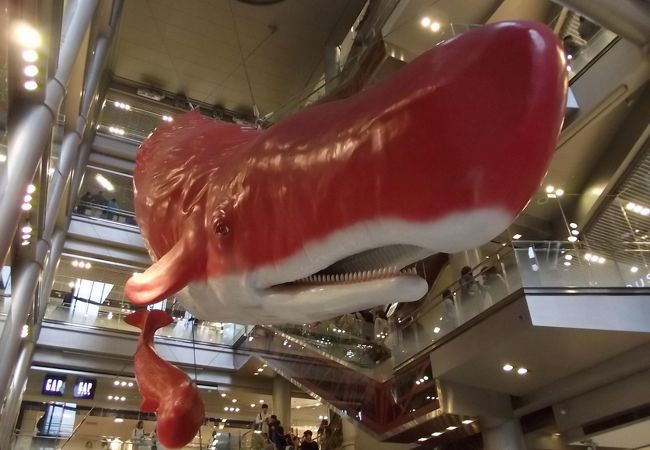 Hepfive クチコミ アクセス 営業時間 キタ 大阪駅 梅田 フォートラベル