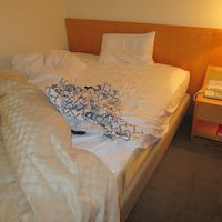 大きめのベッドでした。照明も明るくて、私には快適でした。
