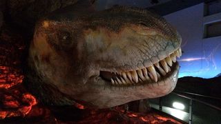 ティラノサウルス