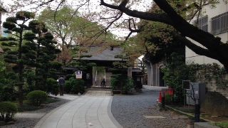 都心新宿に立派な寺構え