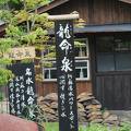 阿蘇神社参道の桜ライトアップ