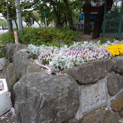 公園内に墨田区の総合体育館があります。